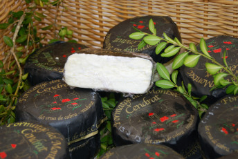 Картинка cendrat еда сырные+изделия сыр