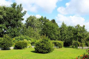 Картинка природа парк деревья изгородь живая