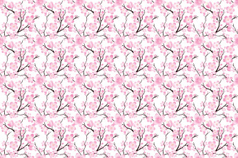 Картинка векторная+графика цветы+ flowers вишня сакура ветки цветы
