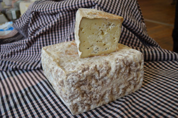 Картинка el+bufalet+blau еда сырные+изделия сыр