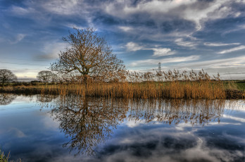 Картинка природа реки озера река камыш облака