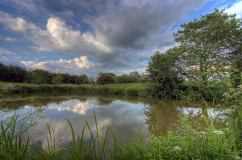 Картинка природа реки озера река лес