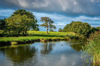 Картинка природа реки озера река растительность тучи