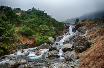 Картинка природа водопады водопад река лес