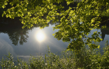 Картинка природа пейзажи отражение ветки река