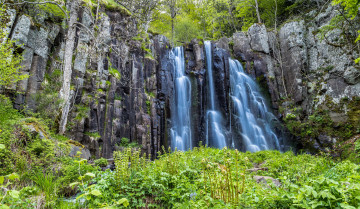 Картинка природа водопады водопад река лес