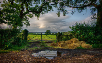 Картинка природа пейзажи облака калитка лес поле