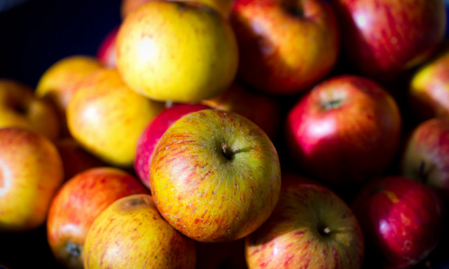 Обои картинки фото еда, Яблоки, много, макро, плоды