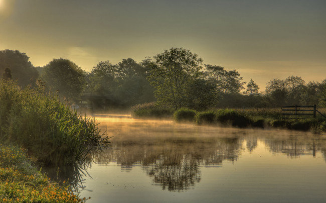 Обои картинки фото природа, реки, озера, туман, река, лес