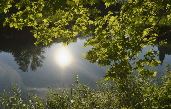 Обои картинки фото природа, пейзажи, отражение, ветки, река