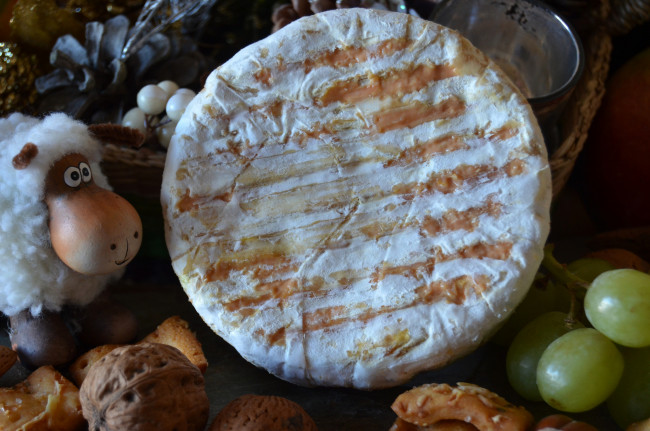 Обои картинки фото l`encalat, еда, сырные изделия, сыр