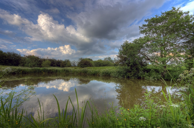 Обои картинки фото природа, реки, озера, река, лес