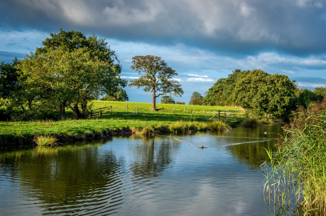 Обои картинки фото природа, реки, озера, река, растительность, тучи