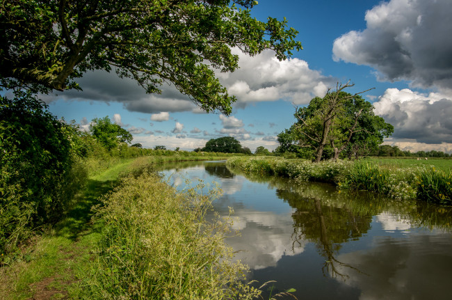 Обои картинки фото природа, реки, озера, тропинка, берен, река