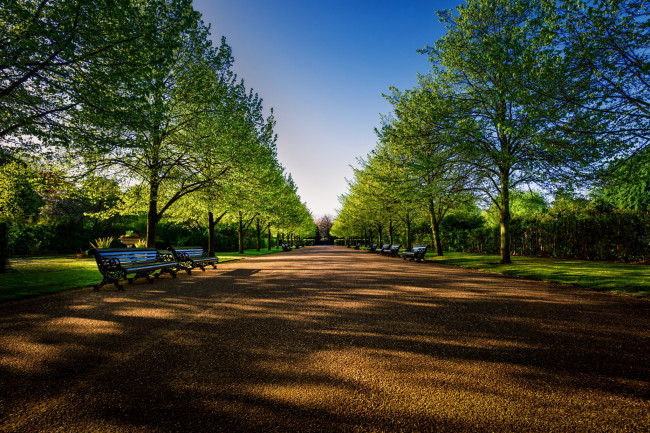Обои картинки фото природа, парк, скамейки, деревья, аллея