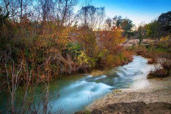 Картинка природа реки озера река лес