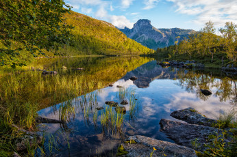 Картинка природа реки озера река лес