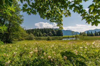 Картинка природа реки озера река лес