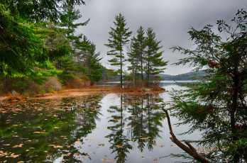 Картинка природа реки озера река лес