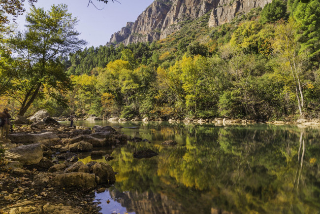 Обои картинки фото природа, реки, озера, река, лес