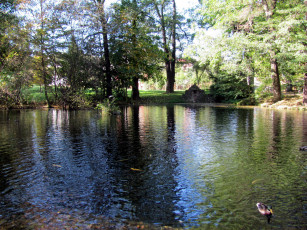 Картинка природа реки озера пруд