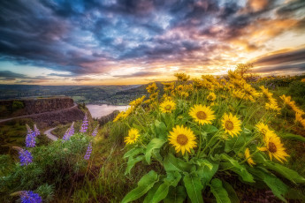 Картинка природа пейзажи рассвет