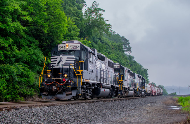 Обои картинки фото техника, поезда, состав, локомотив