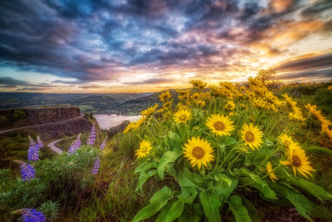 Обои картинки фото природа, пейзажи, рассвет