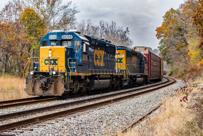 Обои картинки фото техника, поезда, локомотив, состав