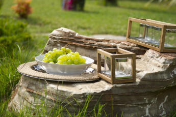 Картинка еда виноград