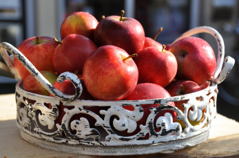 Картинка еда Яблоки яблоки