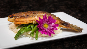 Картинка еда рыба +морепродукты +суши +роллы снедь