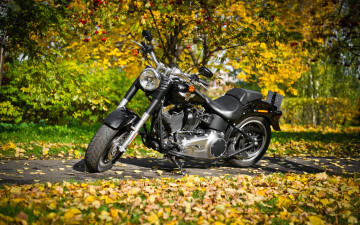 Картинка мотоциклы harley-davidson
