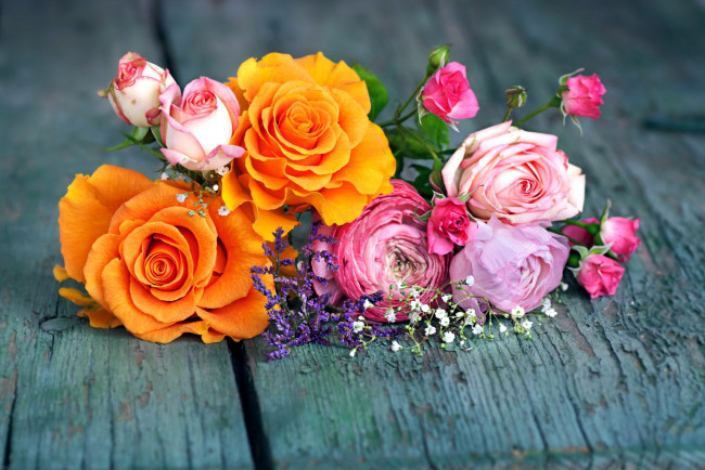 Обои картинки фото цветы, разные вместе, ранункулюс, розы