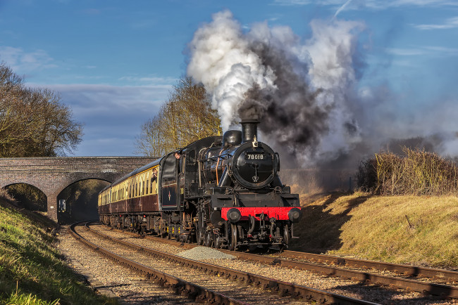 Обои картинки фото техника, паровозы, состав, локомотив