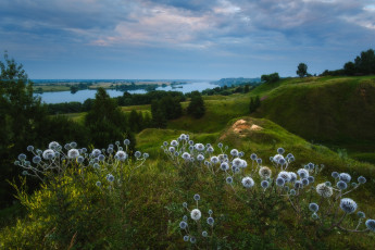 Картинка природа луга пейзаж