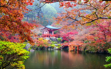 Картинка природа парк осень мостик водоем