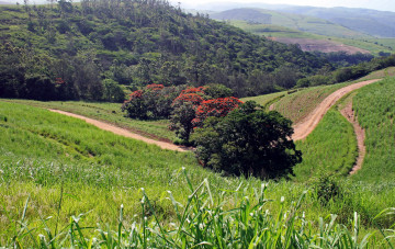 Картинка природа дороги дорога луг горы