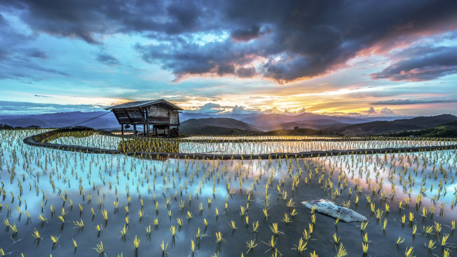 Обои картинки фото природа, поля, пейзаж