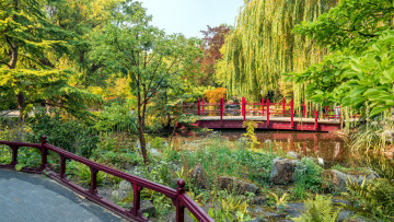 Картинка природа парк водоем мостик