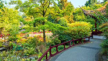 Картинка природа парк японский садик