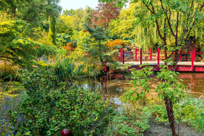 Обои картинки фото природа, парк, водоем, мостик