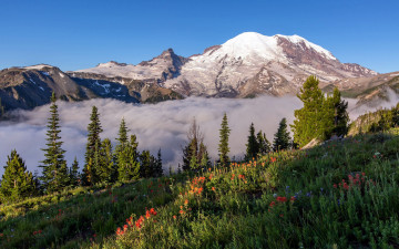 Картинка mount+rainier+national+park pearce+county usa природа горы mount rainier national park pearce county