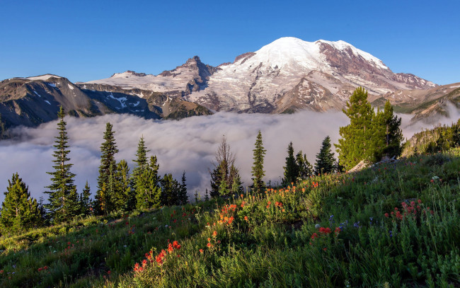 Обои картинки фото mount rainier national park, pearce county, usa, природа, горы, mount, rainier, national, park, pearce, county