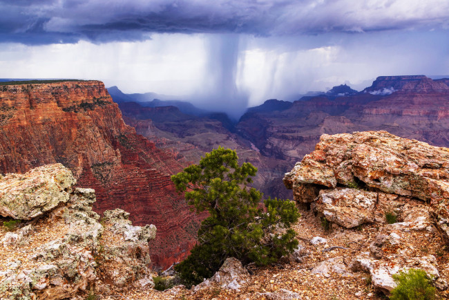 Обои картинки фото grand canyon, arizona, природа, горы, grand, canyon