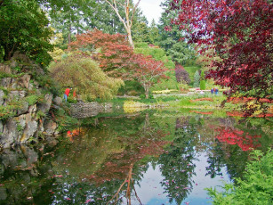 Картинка природа