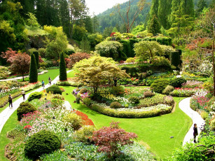 Картинка природа