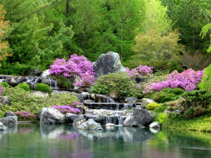 Картинка природа