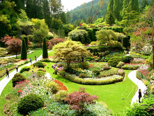 Обои картинки фото природа