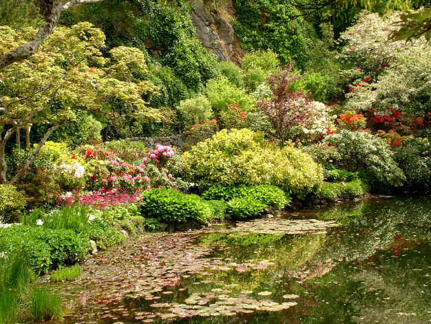 Обои картинки фото природа